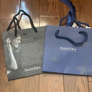 Pandora Shopping Gift Bags - Special Edition x2